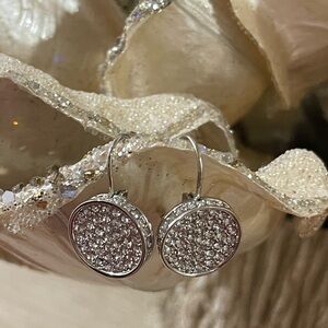 Elegant Silver Crystal Drop Earrings